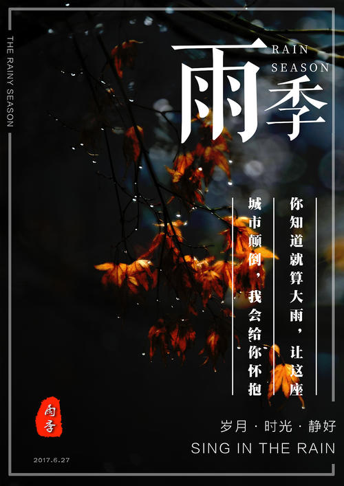 购买假圣卢西亚签证